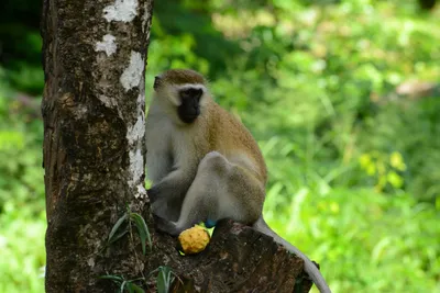 DSC_7933 (Large).JPG